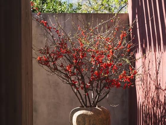 IWAI OMOTESANDO（イワイオモテサンドウ）｜表参道・東京｜結婚式場 ウェディング