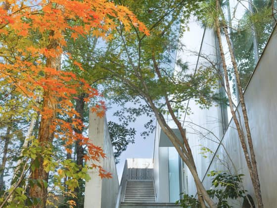 IWAI OMOTESANDO（イワイオモテサンドウ）｜表参道・東京｜結婚式場 ウェディング