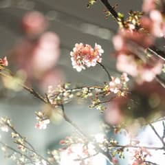 【マタニティ＊30名】「おめでとう」が一番届く場所＜半年以内＞