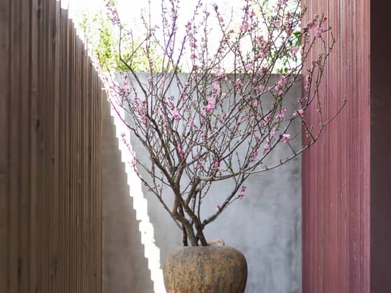 IWAI OMOTESANDO（イワイオモテサンドウ）｜表参道・東京｜結婚式場 ウェディング