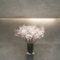 IWAI OMOTESANDO(イワイオモテサンドウ)|表参道・東京