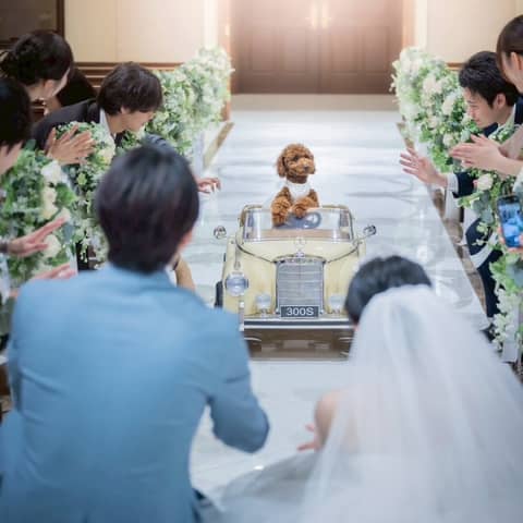 ふたりとペットの特別な一日プラン
