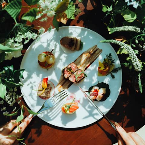 ≪2026年5月≫スプリングプラン【60名178万】