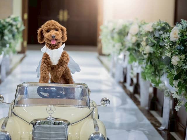 【ブライダル公式】ガーデンテラス福岡ホテル＆リゾート -福岡の結婚式場-