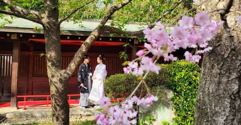 【桜の季節◆平日限定10万円OFF】神社ロケーション撮影プラン