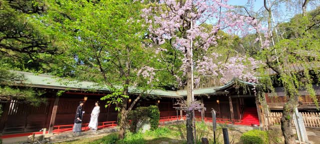 代々木八幡宮（アントワープブライダル）｜東京 代々木 神社挙式【公式】