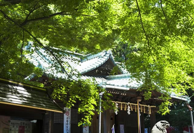 【代々木八幡宮】東京の神前式で上質なアンティーク和装を|【公式】アントワープブライダル
