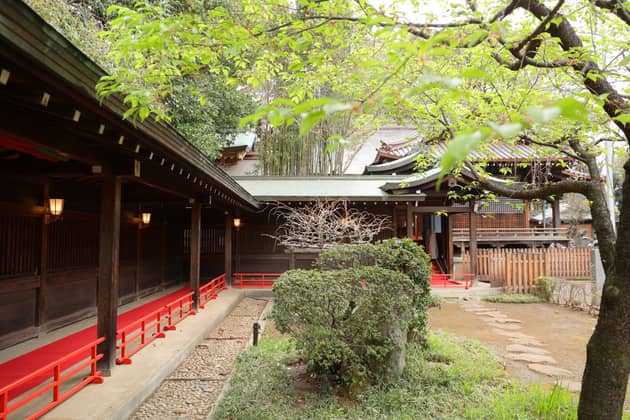 代々木八幡宮（アントワープブライダル）｜東京 代々木 神社挙式【公式】