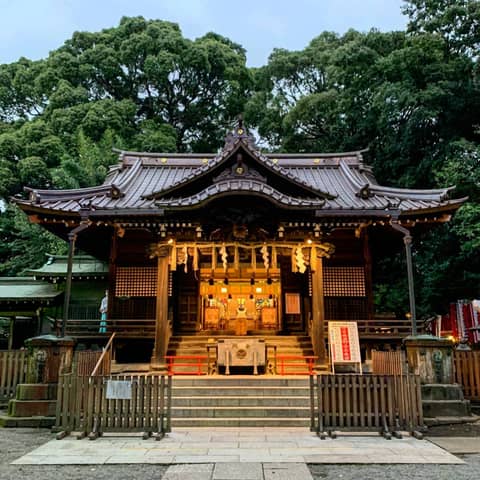 代々木八幡宮（アントワープブライダル）｜東京 代々木 神社挙式【公式】