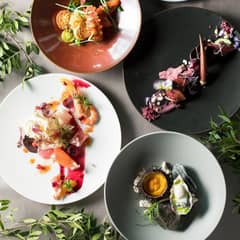 【最大82万円優待／26年4月迄】少人数でもお得な優待*会食プラン