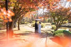 大人気【10月11月】ロケーションフォト × 常磐神社挙式 × ご会食