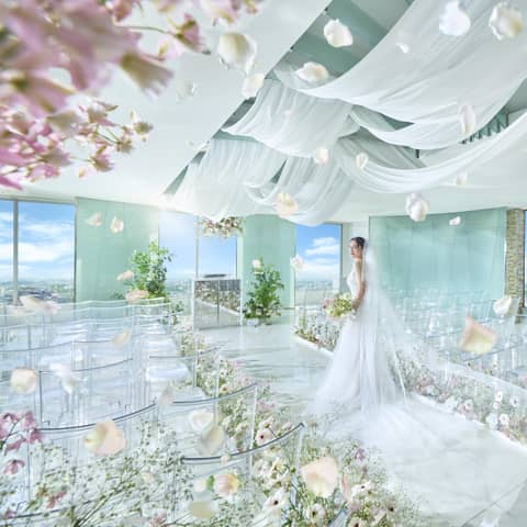 【公式】SAKURA SKY PALACE｜トップページ