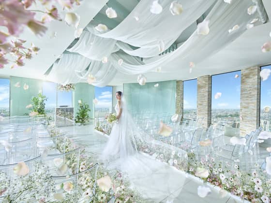 【公式】SAKURA SKY PALACE｜トップページ