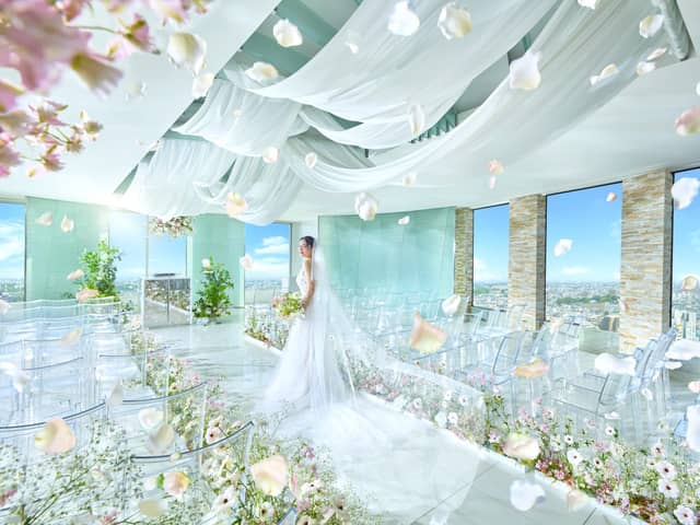 【公式】SAKURA SKY PALACE|トップページ