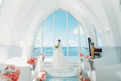 〈冬得プラン〉2026年1月の結婚式限定/基本衣裳プラン50％OFF