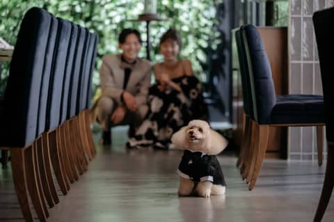 【WITHペット婚】大切な愛犬と一緒に