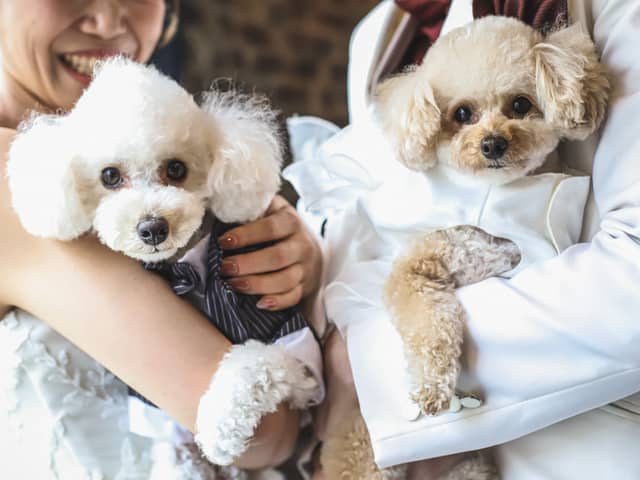 【2年連続クチコミNO.1】Allegro Kanazawaアレグロ金沢|金沢レストランウエディング