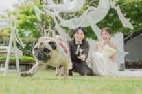 理想のガーデン結婚式を実現する！神奈川の結婚式場【AT TERRACE ninomiya 】