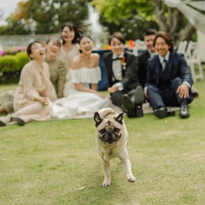 理想のガーデン結婚式を実現する！神奈川の結婚式場【AT TERRACE ninomiya 】