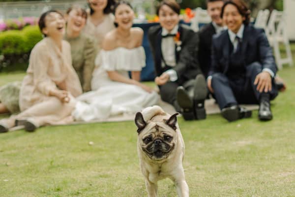 理想のガーデン結婚式を実現する!神奈川の結婚式場【AT TERRACE ninomiya 】
