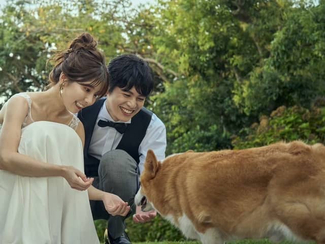 理想のガーデン結婚式を実現する!神奈川の結婚式場【AT TERRACE ninomiya 】