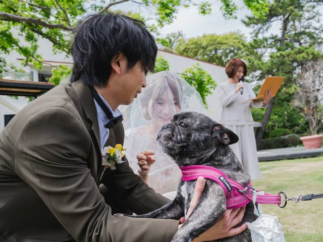 理想のガーデン結婚式を実現する!神奈川の結婚式場【AT TERRACE ninomiya 】