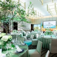 【2026年6月までの期間限定*スペシャルプラン】 80名 299万円