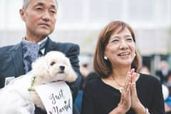 大切な家族と祝う『ペット婚』★わんちゃんのごはん付! 60名170万円