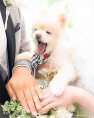 愛犬と一緒に見学も可能！ペット参加型チャペル挙式プラン★