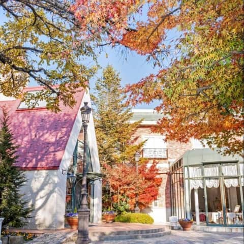 40名177万円《 2025年11月限定 》紅葉の森に囲まれる秋婚