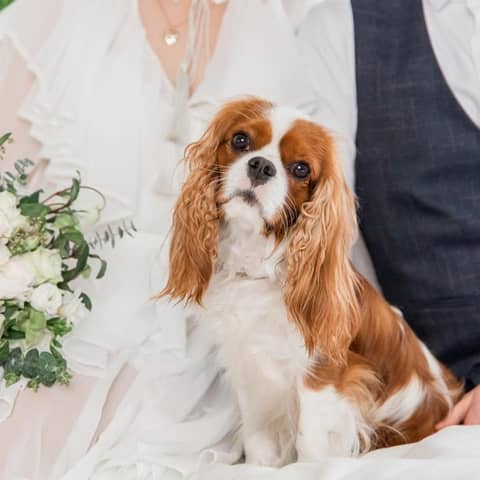 【公式】ブライダルフォート｜徳島県の結婚式場