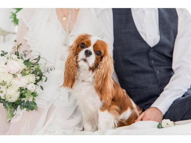 【公式】ブライダルフォート｜徳島県の結婚式場