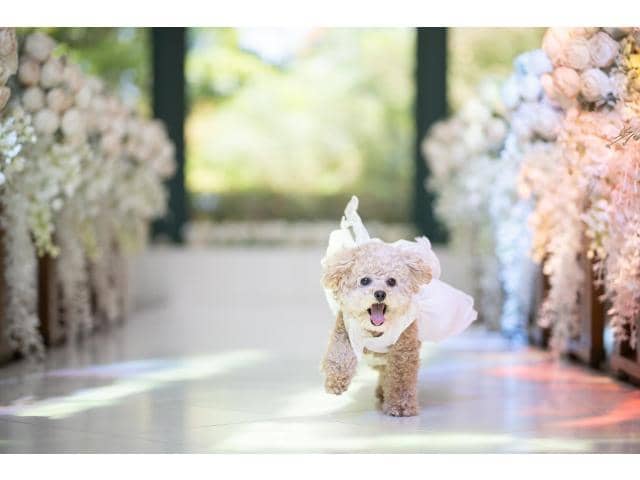 【公式】ブライダルフォート｜徳島県の結婚式場