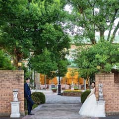 【早割】40名181万円《 2026年9月以降 》早めに相談安心プラン