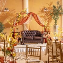 【プロジェクションマッピング15万円相当プレゼント】