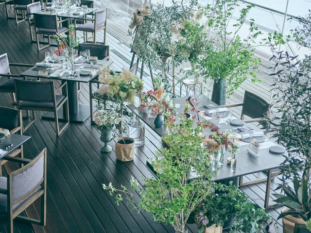 International cuisine subzero(サブゼロ)