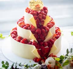 【2026年春限定】スプリングプラン