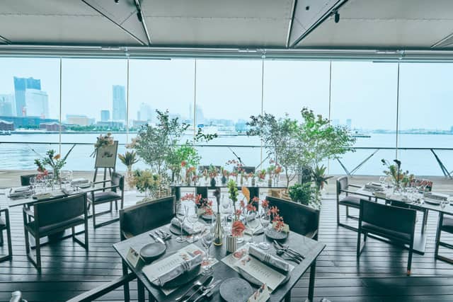 International cuisine subzero（サブゼロ）