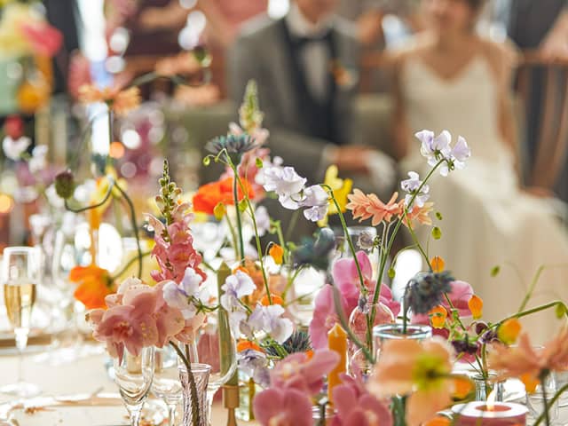 リビエラ逗子マリーナ