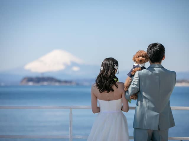 リビエラ逗子マリーナ