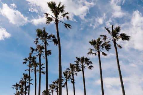 リビエラ逗子マリーナ