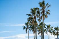 【鎌倉駅or逗子駅⇔当館まで】往復タクシー送迎！お車でお越しのおふたりには駐車場を無料でご案内！