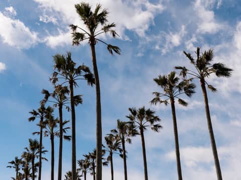 リビエラ逗子マリーナ