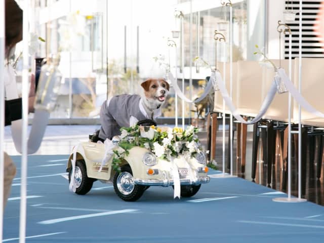 リビエラ逗子マリーナ