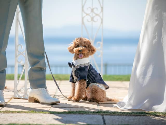 リビエラ逗子マリーナ