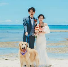 ＼愛犬も祝福／ペット婚プラン