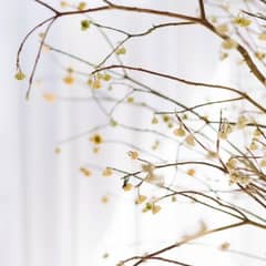 【和婚◆40名＊挙式＆披露宴／1年半以内】光と風が織りなす大人の隠れ家