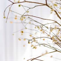 CRAZY GRANDE MAISON クレイジーグランメゾン|横浜・みなとみらい 結婚式場