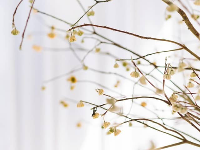 CRAZY GRANDE MAISON クレイジーグランメゾン|横浜・みなとみらい 結婚式場