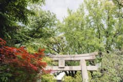 8大特典付【26年10・11月】神前式＆披露宴プラン（20～60名様）